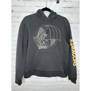 Old Navy Dungeons and Dragons Grey Pullover Hoodie Sweatshirt Mens Large